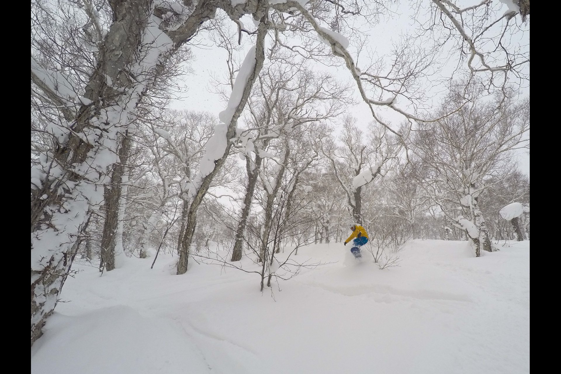Hero4 Actionshot mit Burstmode und etwas Nachbearbeitung des Profils und Farben in LR.